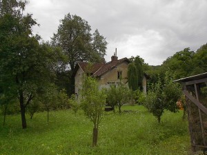 2001.08.08 17.16.50.jpg